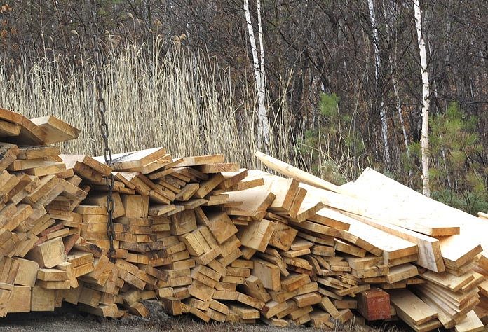 Предпринимателя из Свободного оштрафовали за приём и отгрузку древесины без документов