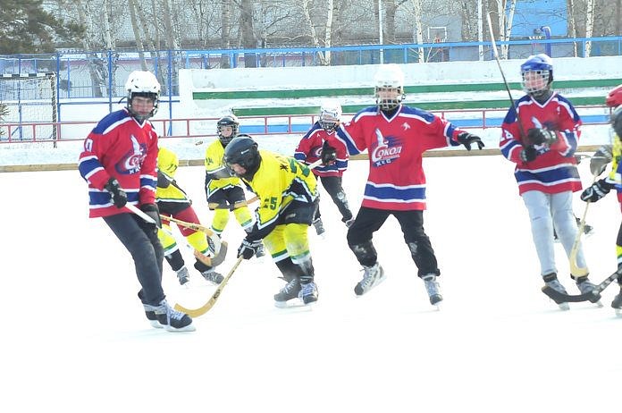 «Соколы» из Свободного завоевали кубок областного первенства по хоккею с мячом