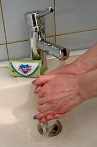 Свободненцам советуют чаще мыть руки и укреплять иммунитет