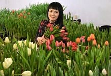 14 тысяч тюльпанов для милых дам вырастили в плодопитомнике Свободного