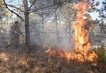Губернатор Василий Орлов: «В Приамурье значительно сократились площади природных пожаров»