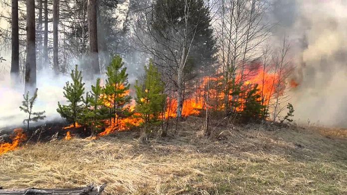 В Свободненском районе локализовали пожар в 11 километрах от села Голубое