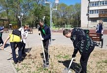 Во Всероссийский день посадки леса школьники Свободного озеленили сквер «Топольки»