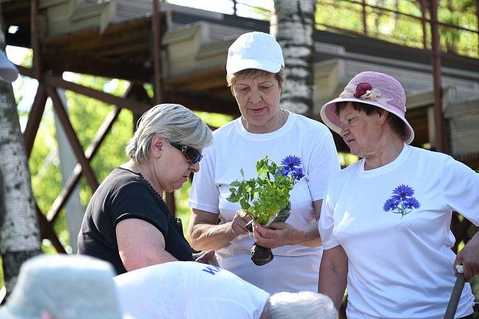 Жасмины от «Васильков» расцветут в городском парке Свободного