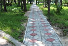 Стихийные дорожки в городском парке Свободного выложили плиткой