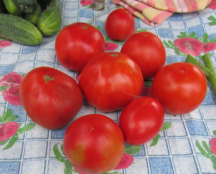Грибы и помидоры на свободненском рынке растут в цене