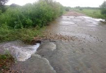 В Приамурье оказались размытыми и затопленными десятки участков дорог
