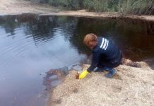 Амурские экологи не обнаружили цианидов в воде и почве подтопленных сёл Мазановского района
