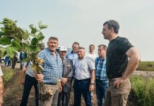 Почти 170 тысяч гектаров посевов в Приамурье пострадало от стихии