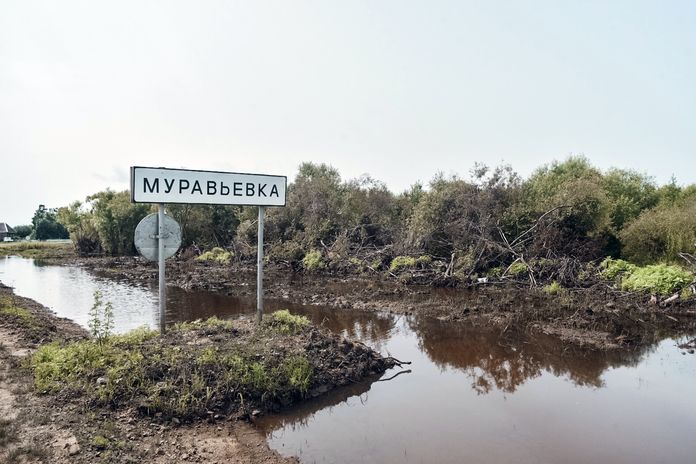 Почти 170 тысяч гектаров посевов в Приамурье пострадало от стихии