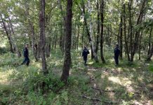 Амурские пожарные уже несколько дней ищут двух пропавших в лесу грибников