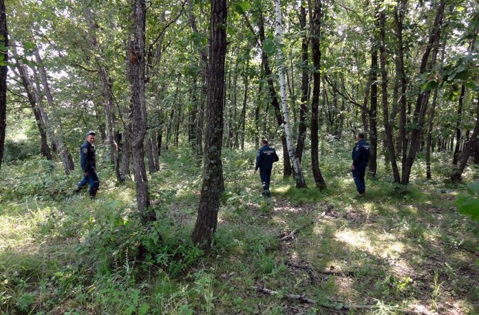 Амурские пожарные уже несколько дней ищут двух пропавших в лесу грибников