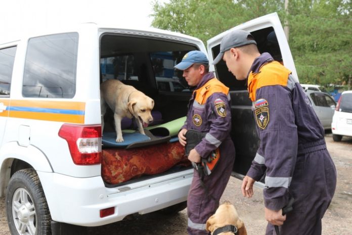 Амурские спасатели выехали в Селемджинский район на поиски грибника