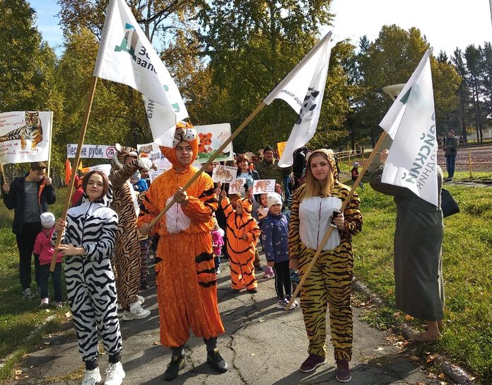 Зейская ГЭС поддержала акцию «Полосатый фестиваль» в защиту амурских тигров