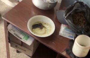 В Приамурье наркополицейские изъяли 31 мешок с марихуаной
