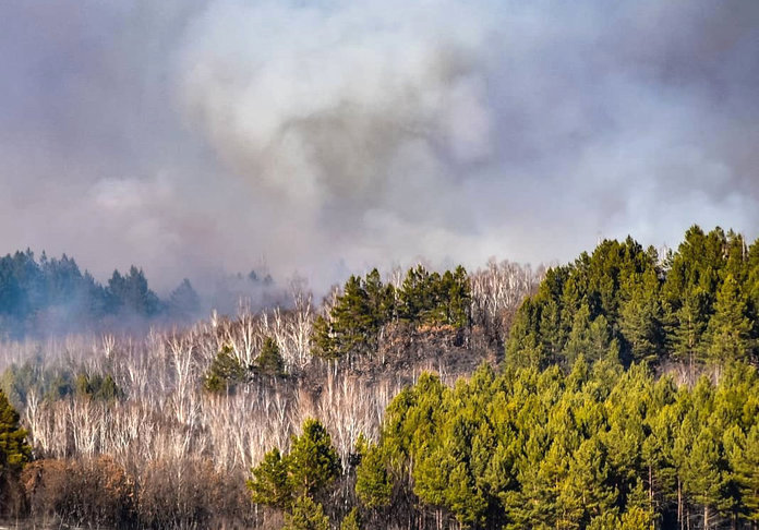 В Приамурье из-за природных пожаров введён режим ЧС регионального характера в лесах