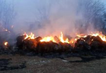 В двух амурских сёлах за сутки сгорело почти 200 рулонов сена