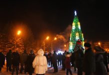 Новогодние каникулы в Приамурье прошли без ЧС