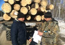 Пять патрульных групп проверят каждый лесовоз в Шимановском районе