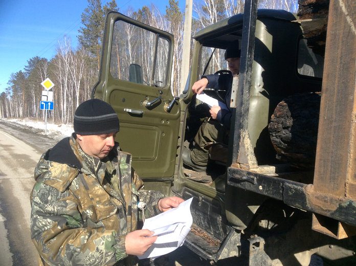 Пять патрульных групп проверят каждый лесовоз в Шимановском районе