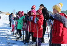 150 жителей Свободненского района вышли на  «Лыжню России 2020»