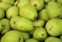 В Приамурье изъяли и уничтожили 25 килограммов санкционных фруктов