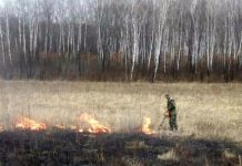 За прошедшие сутки пожарно-спасательные подразделения Приамурья 18 раз выезжали на тушение палов
