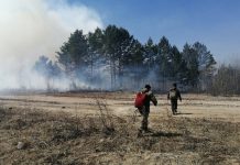 В ряде районов Приамурья открывается пожароопасный сезон