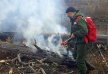 Особый противопожарный режим отменят с 1 июня в 21 муниципальном образовании Приамурья