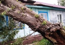 В областном центре Приамурья устраняют последствия прохождения циклона