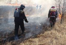 В Приамурье подвели итоги весеннего пожароопасного периода
