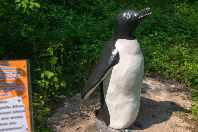 Свободненские вандалы пытались вырвать сердце у пингвина…