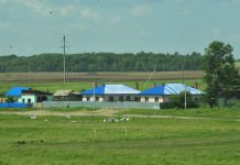 Губернатор Василий Орлов заявил о поддержке берущих дальневосточную ипотеку в сельской местности амурчан