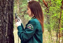 Специалисты-лесопатологи выявят на территории Приамурья больные и повреждённые деревья