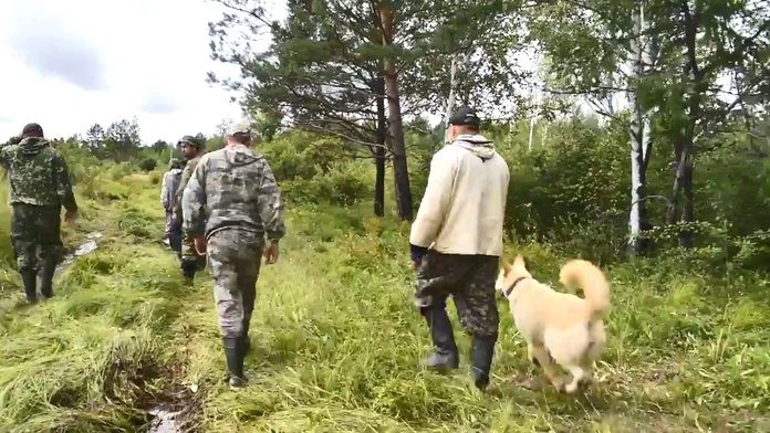 Пропавшего неделю назад грибника в Приамурье ищут люди, собаки и беспилотник