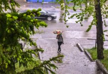 Погода в Приамурье будет испытывать влияние обширного западного циклона