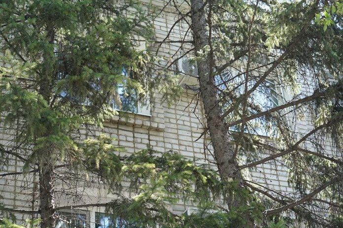 Экспертиза установила причину деформации здания бывшего «Амурзолото» в Свободном