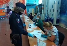 Областной избирком рассказал о явке на крупных избирательных кампаниях в Приамурье