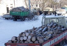 Амурские лесхозы заготавливают дрова для реализации населению
