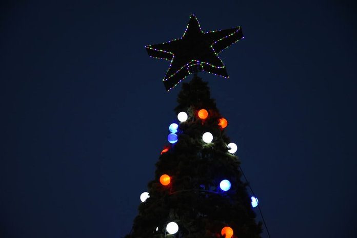 В сквере «Топольки» засветились гирлянды и звезда на самой высокой Ёлке Свободного