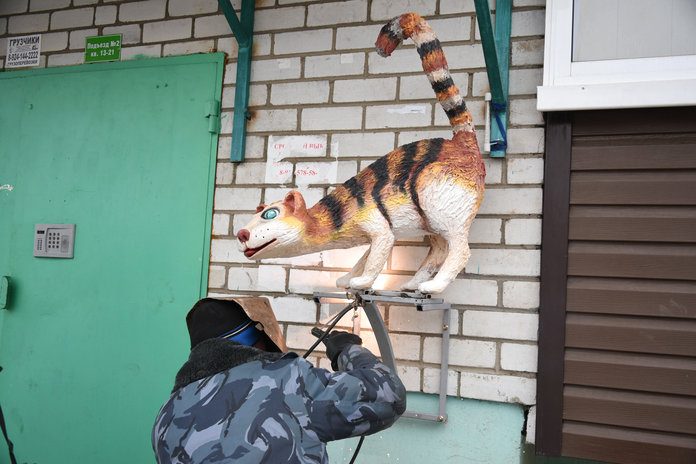 40-килограммовый Мартовский кот «поселился» на улице Большой в Свободном