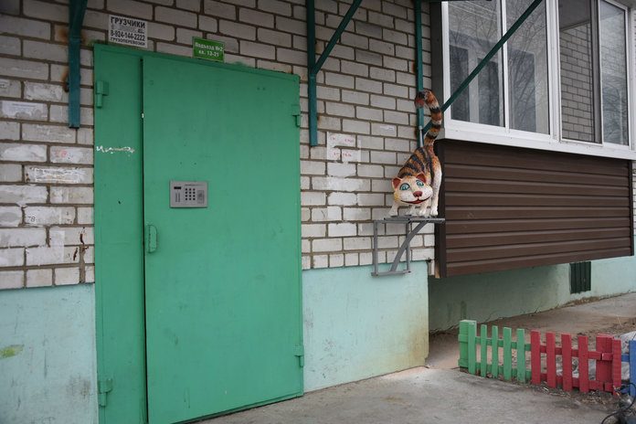 40-килограммовый Мартовский кот «поселился» на улице Большой в Свободном