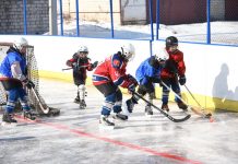 На закупку хоккейных коробок для городов и районов Приамурья потратят почти 30 миллионов рублей