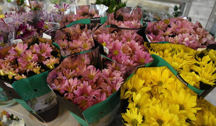 Купить цветы для любимых в плодопитомнике «Cвoбoднeнcкий» можно будет даже 8 Марта