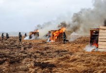 Губернатор Приамурья Василий Орлов: «В этом году мы лучше готовы к пожароопасному сезону»
