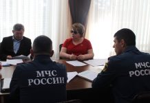 Комитет амурского Заксобрания обратится в МЧС России по вопросу ликвидации ландшафтных пожаров