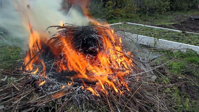 В России действуют новые требования пожарной безопасности для садоводов и дачников
