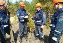 Свободненские спасатели провели тренировку по поиску пострадавших в лесу