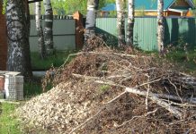 В амурском Минприроды прокомментировали правила вывоза твёрдых коммунальных отходов