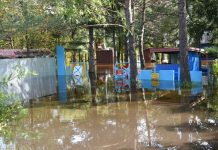 Вода отступает: в Свободненском районе подсчитывают убытки